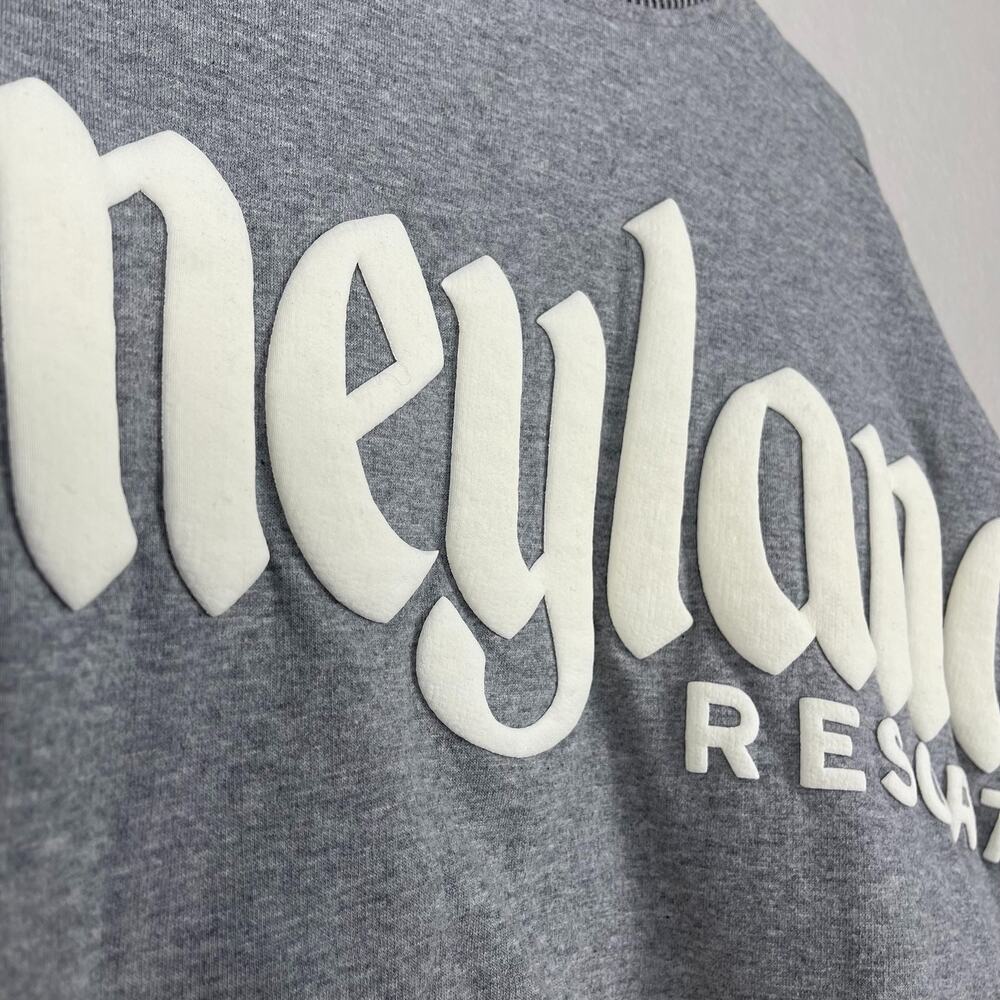 Disneyland Resort Sherpa Spirit Jersey Unisex Medium White Gray Puffy Print‎ - Picture 7 of 11